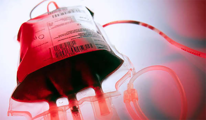 Chuyển đổi thành công nhóm máu A trong phổi người sang nhóm máu O - Ảnh 2