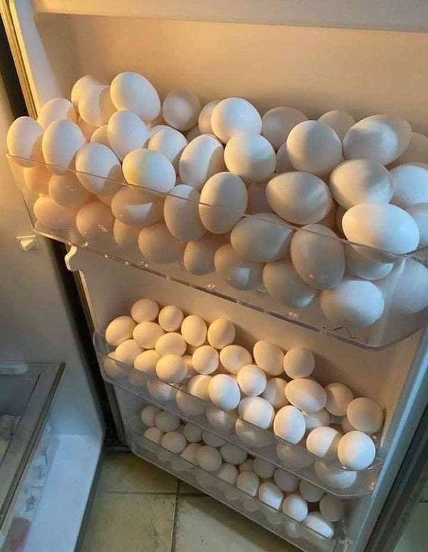 Ai cũng sẽ có một đứa bạn cực kỳ mê ăn trứng: bảo rằng chất đầy tủ lạnh toàn trứng cũng chẳng sai! - Ảnh 1