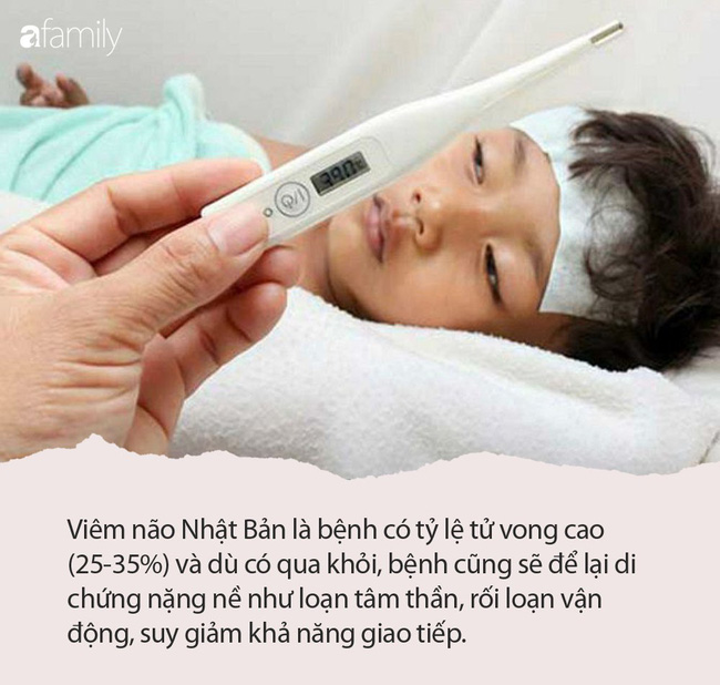 Mẹ có biết: Vắc xin viêm não Nhật Bản loại mới có thể tiêm cho bé từ 9 tháng tuổi, chỉ tiêm 2 mũi thay vì 3 mũi như vắc xin cũ - Ảnh 1