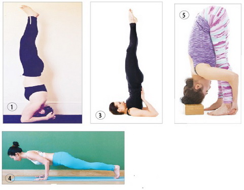 5 tư thế nguy hiểm với người mới tập yoga - Ảnh 1