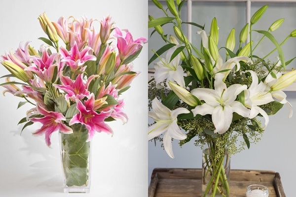 Khi cắm hoa ly nên lưu ý một số mẹo giúp cho hoa tươi và bền đẹp hơn