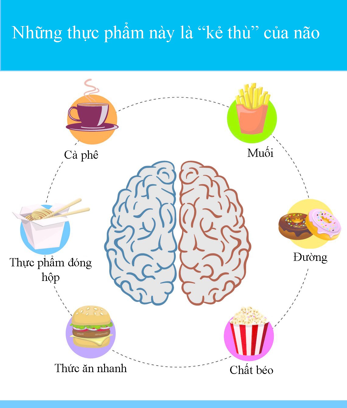 10 thực phẩm bổ não, tăng cường trí nhớ - 'vị cứu tinh' dành riêng cho trẻ sắp vào lớp 1 - Ảnh 10