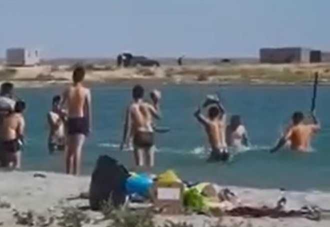 Phẫn nộ cảnh tượng hải cẩu bị du khách tắm biển vây đánh đến bất tỉnh chỉ để cho trẻ con chụp ảnh cùng - Ảnh 1