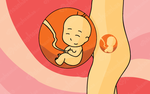 Mang thai tháng thứ 4: Mẹ bầu đang tận hưởng những ngày dễ chịu nhất của thai kỳ - Ảnh 4