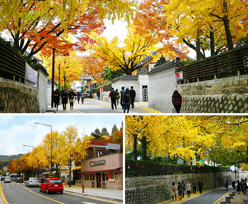 Vào khoảng tháng 10, ở Hàn Quốc có thời tiết mát mẻ dễ chịu và ít mưa