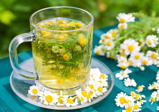 Từ giảm đường huyết đến hỗ trợ giảm cân, loại trà thảo mộc này xứng đáng là 'vàng mười' cho sức khỏe - Ảnh 3