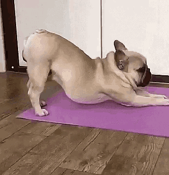 Bài tập yoga siêu thon giúp người Nhật giảm 4 kg, eo nhỏ hẳn 10 cm chỉ sau 1 tháng - Ảnh 5