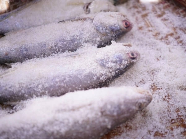3 loại cá ít dinh dưỡng nhưng nhiều chất độc mà có thể bạn đang ăn chúng mỗi ngày - Ảnh 2
