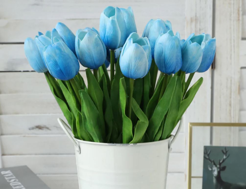 Hoa Tulip và thông điệp ý nghĩa theo từng màu sắc! - Ảnh 6