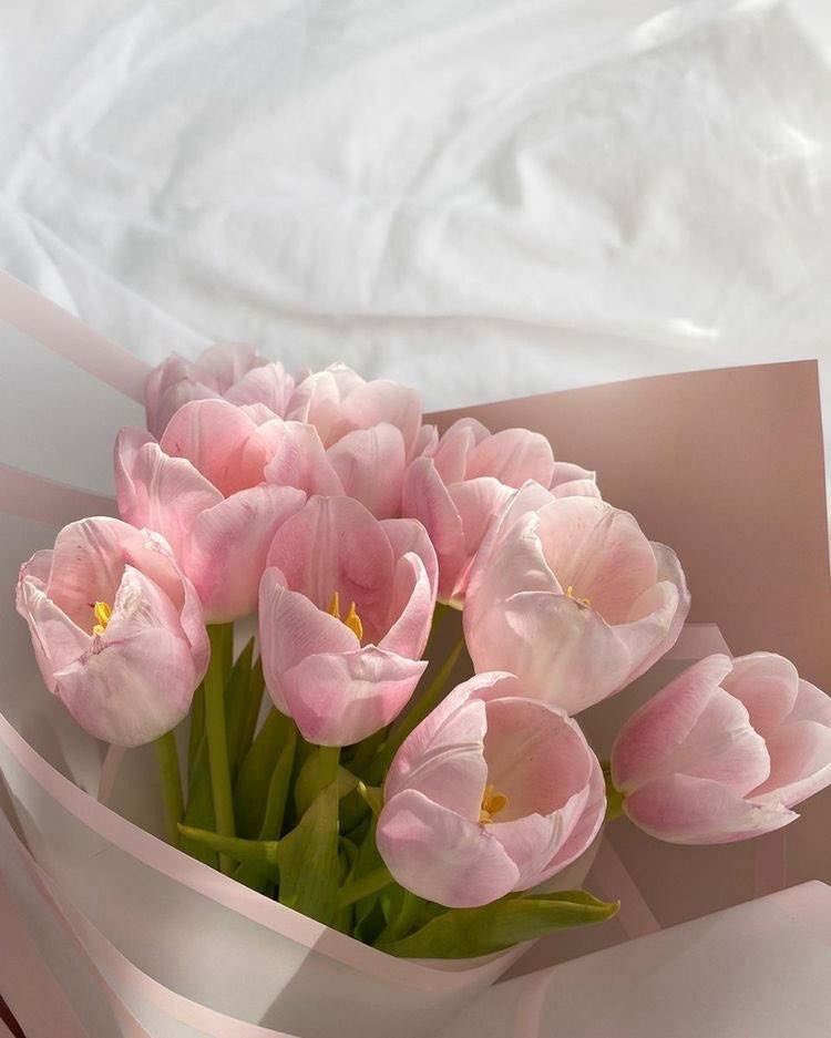 Hoa Tulip và thông điệp ý nghĩa theo từng màu sắc! - Ảnh 9