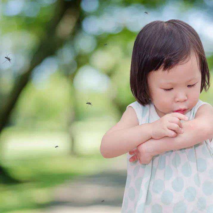 Điều đầu tiên cần làm sau khi trẻ bị muỗi đốt là gì? 99% bố mẹ phạm sai lầm - Ảnh 6