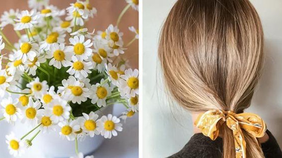 Nhuộm tóc vàng, lên màu tự nhiên bằng hoa cúc và khoai tây - Ảnh 2