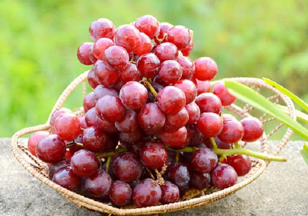 Thường xuyên sử dụng 5 loại trái cây màu đỏ này, da giảm nếp nhăn và ngày càng mịn màng, hệ miễn dịch cũng được nâng cao - Ảnh 1