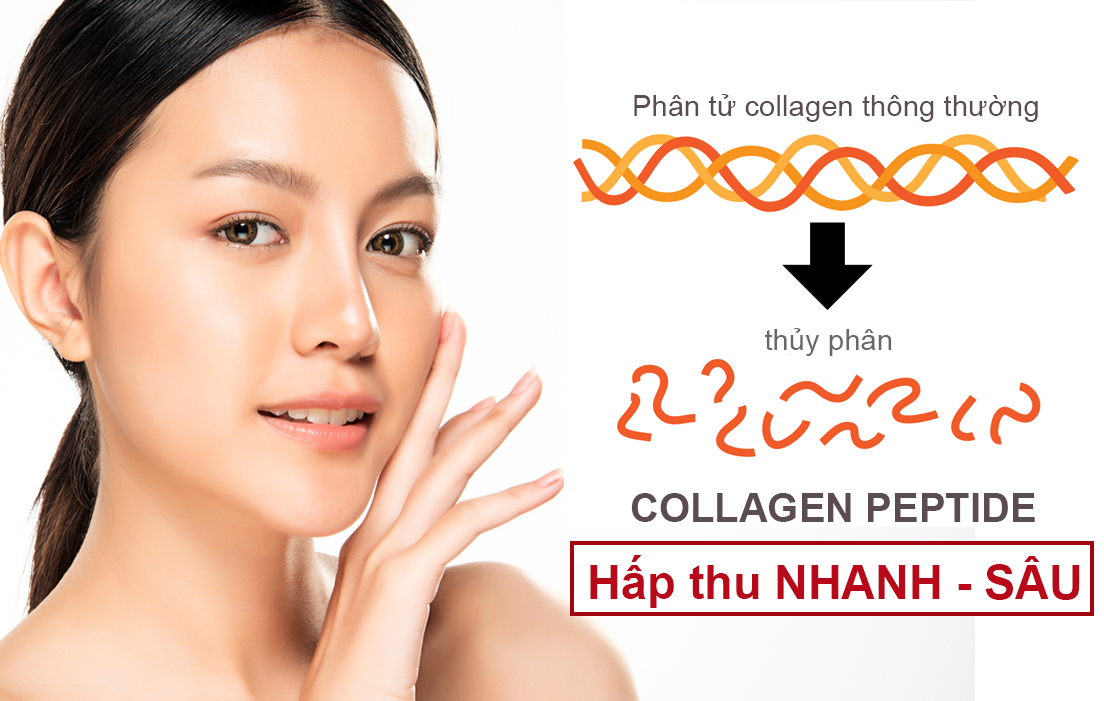 Những gạch đầu dòng đáng lưu ý cho chị em muốn sử dụng collagen để “bồi bổ” cho da - Ảnh 2