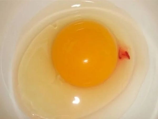 Đập trứng ra bát thấy có vệt đỏ như máu, nên ăn tiếp hay bỏ đi - Ảnh 1