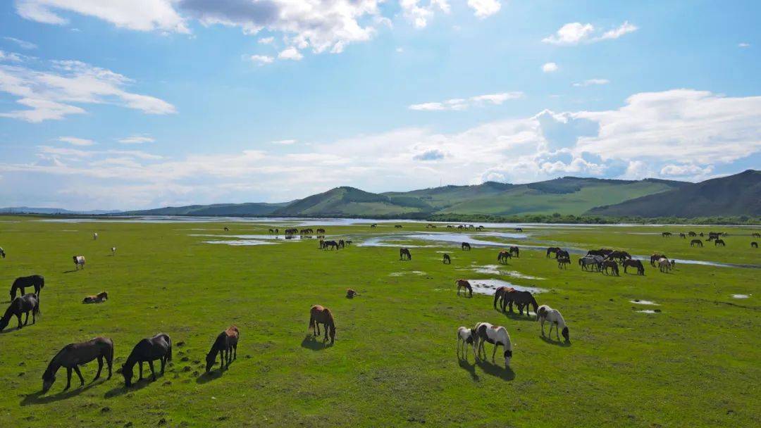 Thành phố sở hữu khung cảnh 'không tầm thường' ở Nội Mông Cổ sẽ khiến bạn choáng ngợp - Ảnh 2