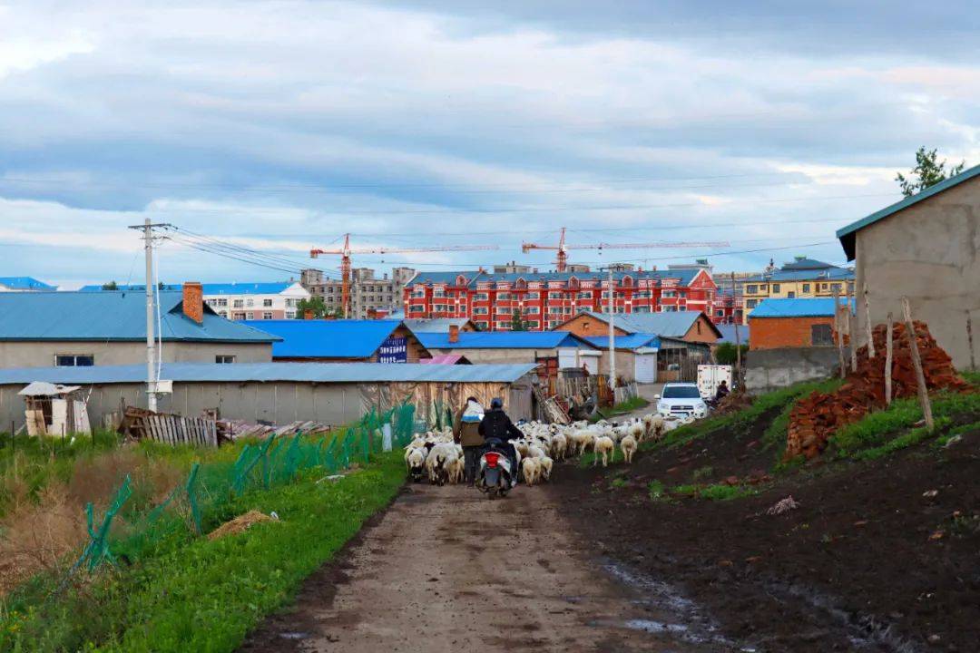 Thành phố sở hữu khung cảnh 'không tầm thường' ở Nội Mông Cổ sẽ khiến bạn choáng ngợp - Ảnh 7