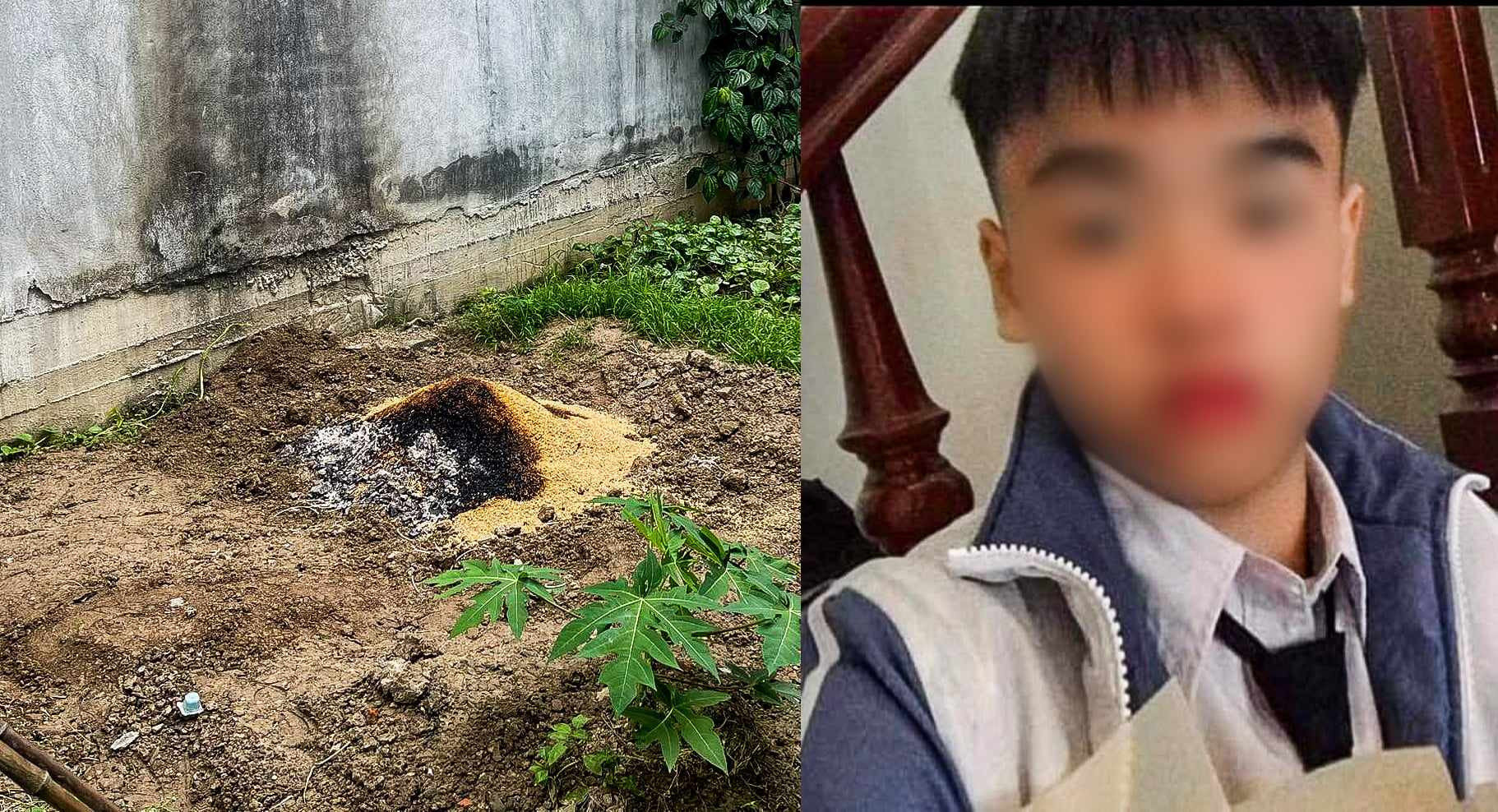 Hé lộ nguyên nhân thiếu nữ 15 tuổi ở Hải Phòng bị bạn trai sát hại, chôn thi thể trong vườn - Ảnh 1