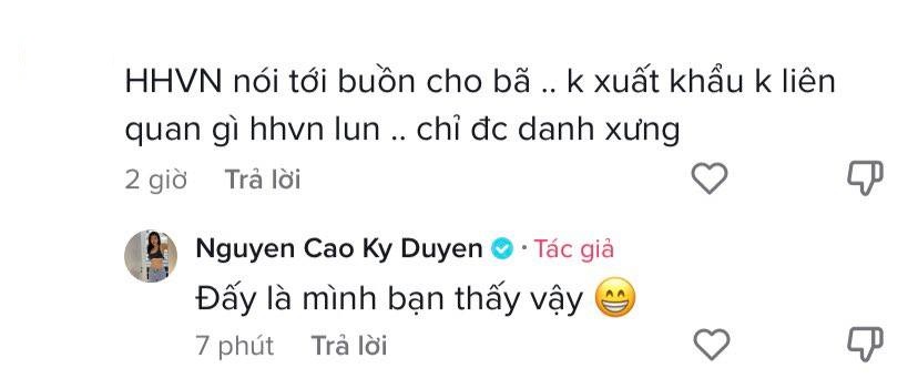 Câu trả lời '1000 điểm sát thương' của Kỳ Duyên khi netizen nói 'chỉ được danh xưng Hoa hậu Việt Nam' - Ảnh 1