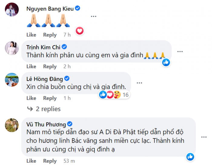 Cựu siêu mẫu Thúy Hằng - Thúy Hạnh đau đớn báo tin tang sự, Hồng Đăng và loạt sao Việt xót xa chia buồn - Ảnh 4