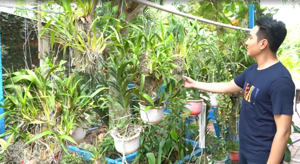 Đời tư kín tiếng của Nguyễn Phi Hùng ở tuổi U50: Chưa lập gia đình, sở hữu biệt thự vườn 3.000 m2 tràn ngập cây xanh - Ảnh 3