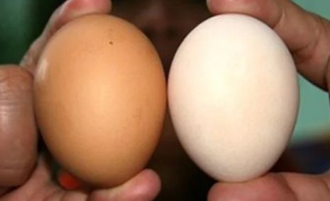 Cách chọn mua trứng ngon, nên chọn quả to hay quả nhỏ - Ảnh 1