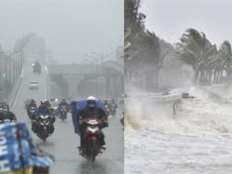 Cảnh báo các tỉnh chịu ảnh hưởng NẶNG của cơn bão Talim đã áp sát đất liền