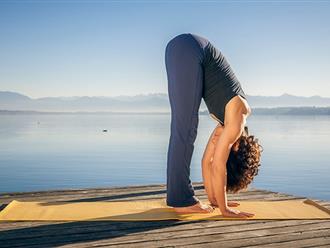 Tại sao tập 15 phút yoga mỗi buổi sáng lại tốt cho bạn?