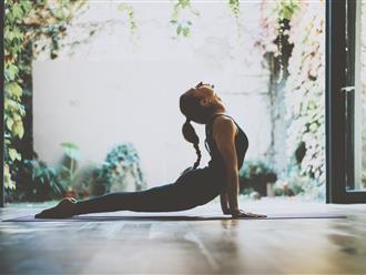 Bài tập yoga cơ bản: Không muốn vẹo cột sống thì nhất định phải học