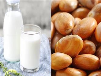 Cách làm sữa hạt mít thơm ngon béo ngậy đầy dinh dưỡng cho những ngày chuyển mùa