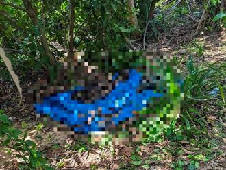 Kinh hoàng: Phát hiện thi thể đang phân hủy trong rẫy hoang trên đảo Phú Quý, Bình Thuận