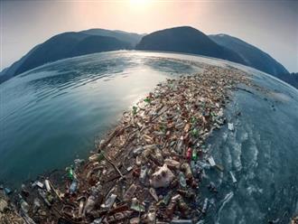Lộ diện "thủ phạm" của đảo rác khổng lồ trên Thái Bình Dương: Là hoạt động nuôi sống hàng triệu người