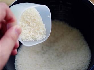 Sai lầm nhiều người mắc phải khi chọn gạo nấu cơm, chuyên gia chỉ rõ những nguy cơ phía sau
