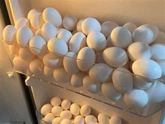 Ai cũng sẽ có một đứa bạn cực kỳ mê ăn trứng: bảo rằng chất đầy tủ lạnh toàn trứng cũng chẳng sai!