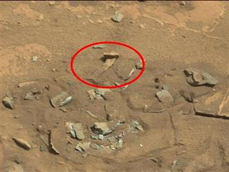 Giải mã bí ẩn sau bức ảnh chụp vật thể giống 'xương người' trên bề mặt Sao Hỏa của NASA