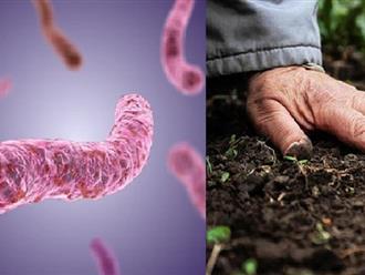 Thêm trường hợp bệnh nhi bị vi khuẩn ăn thịt người 'tấn công': Bác sĩ cảnh báo nơi mầm bệnh 'ẩn nấp'