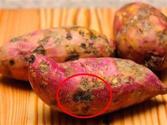 Thấy khoai lang có điểm “đặc biệt” này hãy ném bỏ ngay, cố tình ăn sẽ mang độc vào người