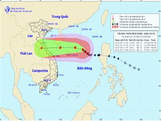 Tin bão trên biển Đông: Bão số 8 mạnh lên, gây mưa lớn ở miền Trung