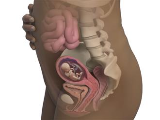 Mang thai tháng thứ 4: Mẹ bầu đang tận hưởng những ngày dễ chịu nhất của thai kỳ