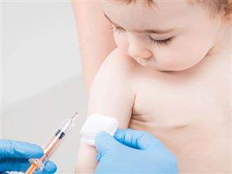 Mẹ có biết: Vắc xin viêm não Nhật Bản loại mới có thể tiêm cho bé từ 9 tháng tuổi, chỉ tiêm 2 mũi thay vì 3 mũi như vắc xin cũ