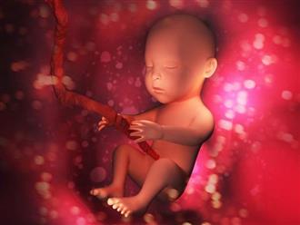 Tin vui cho mẹ bầu: Lần đầu tiên Việt Nam chữa được bệnh cho thai nhi ngay trong bụng mẹ