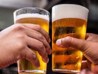 Các nhà khoa học vừa công bố mối quan hệ độc hại ít ai ngờ tới giữa rượu bia và não bộ