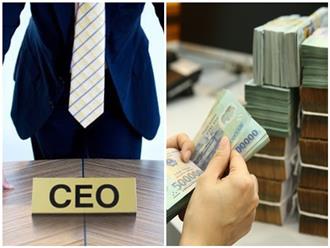 Tiết lộ sốc về mức lương CEO của 3 ngành hot tại Việt Nam: Một tháng GẦN CẢ TỶ, chưa bao gồm thưởng và các khoản khác