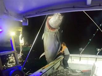 Cả đoàn người trố mắt kinh ngạc khi thấy người phụ nữ câu được cá ngừ vây xanh khổng lồ nặng 450kg