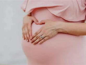 17 lần giả vờ mang thai để nhận tiền trợ cấp