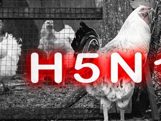 Từ ca tử vong do cúm A/H5N1: Bộ Y tế khuyến cáo 5 cách phòng tránh