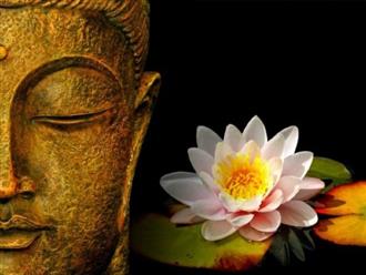 Phật dạy: Mỗi ngày chỉ cần làm 1 điều này, phúc đức và may mắn ngày một nhiều