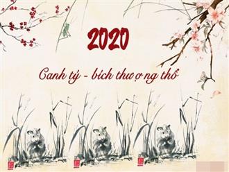 Vận thế phúc họa của 12 con giáp trong năm Canh Tý 2020 - Bích Thượng Thổ: Ai gặp nhiều may mắn, ai phải trải qua chông gai?