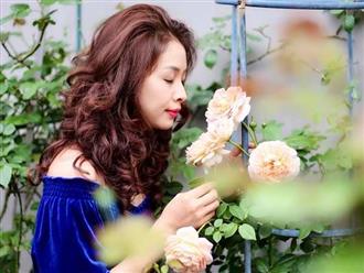 Hô biến vườn nhà thành 'biệt phủ hoa hồng' đẹp như tranh với bí quyết từ 'mẹ đảm' Hà Giang