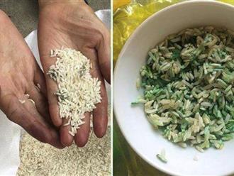 Tiết lộ 4 loại gạo chứa nhiều độc tố, gây hại trực tiếp đến ruột và dạ dày, có rẻ đến mấy cũng đừng mua